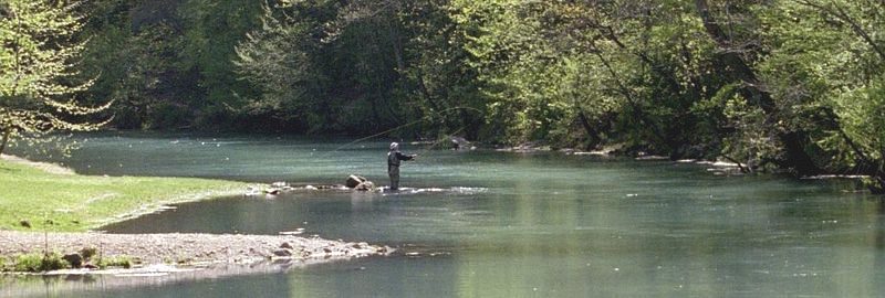 Fly casting, fishing Maramec Spring Branch, Missouri