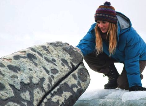 Drew Barrymore and a trapped gray whale