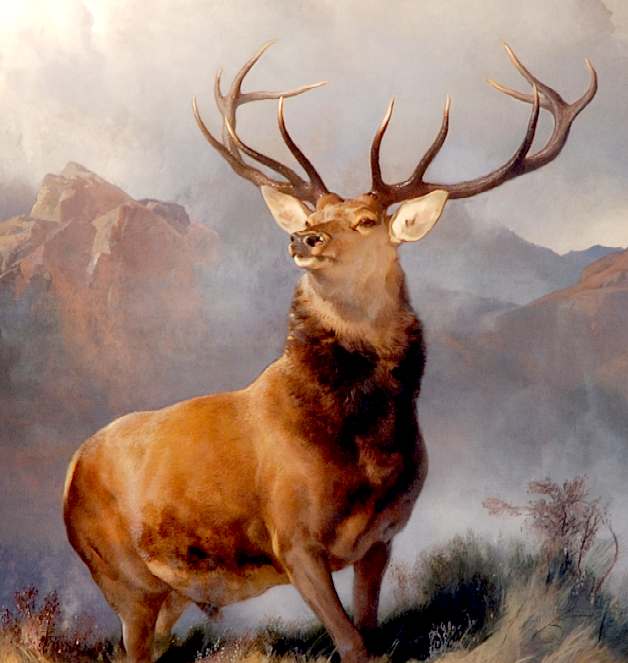 The Monarch of the Glen