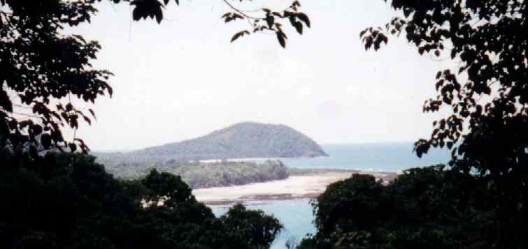 Cape Tribulation