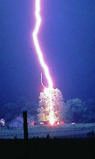 Lightning striking a tree