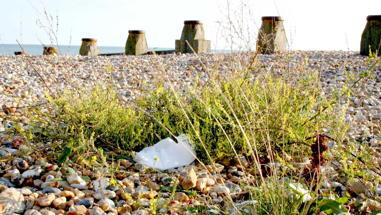 Wet wipes find their way onto Eastbourne's beaches