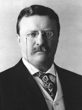 Theodore Roosevelt portrait