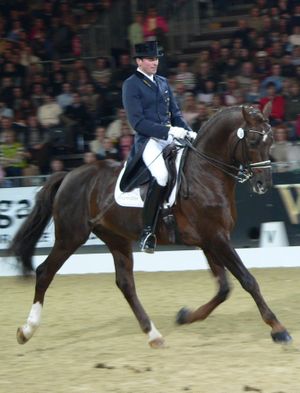 Dressage